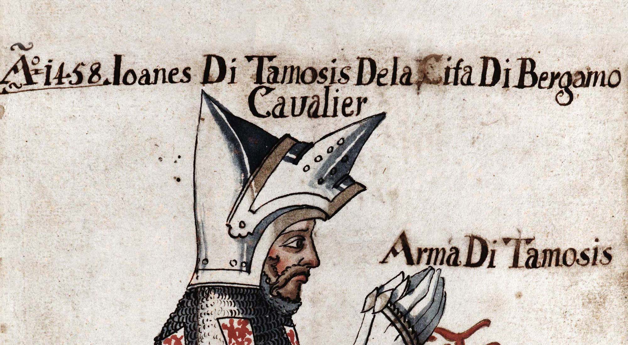 Tamosis Wappen 2000x1100